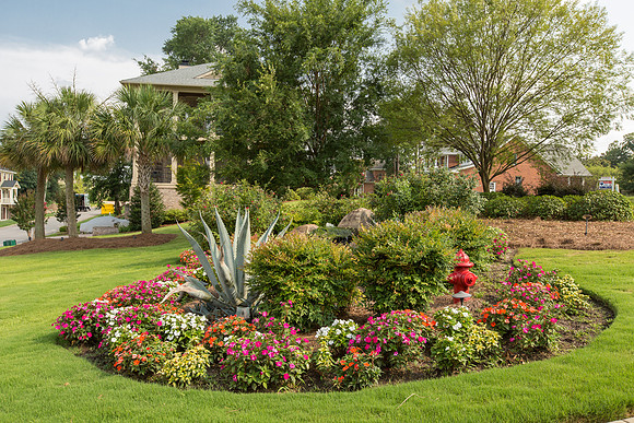 Lot for Sale in Congaree Park, West Columbia SC