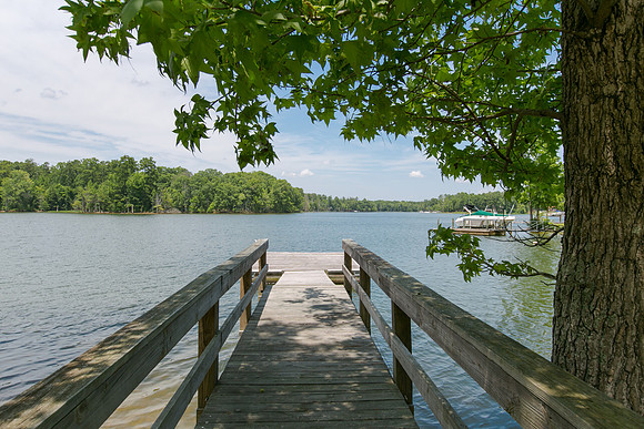 116 Lakeview Drive, Chapin, SC 29036 - For Sale