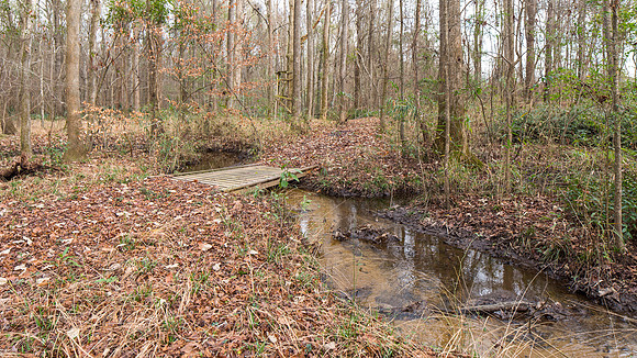 Running creek on the property