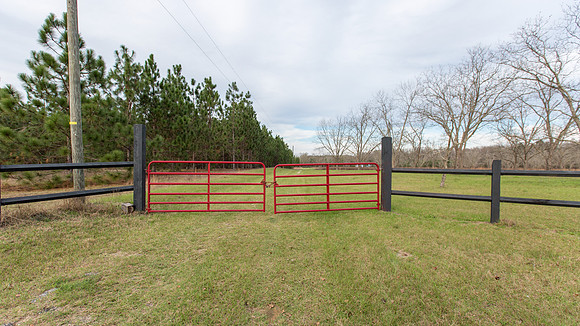 Entrance Gate