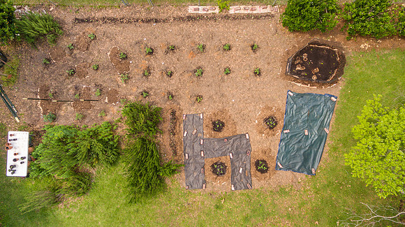 Third garden photo - drone
