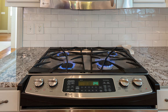 Profile Gas Range