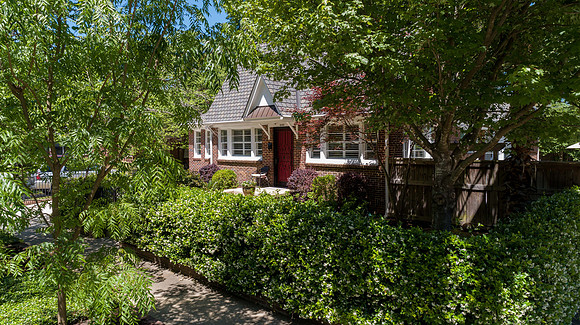 Mature Landscaping